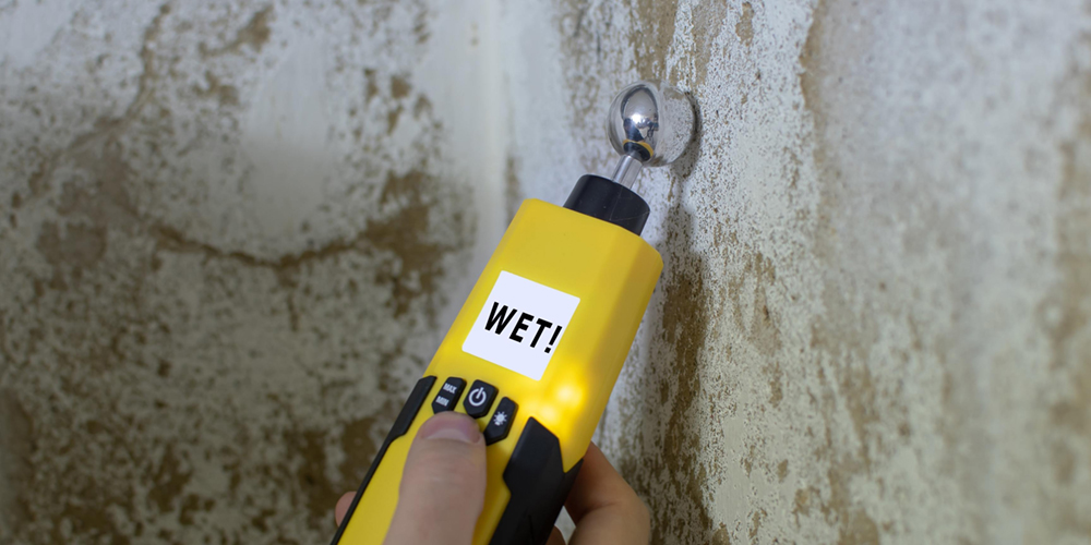 Humedades Pintura Para Todo 1