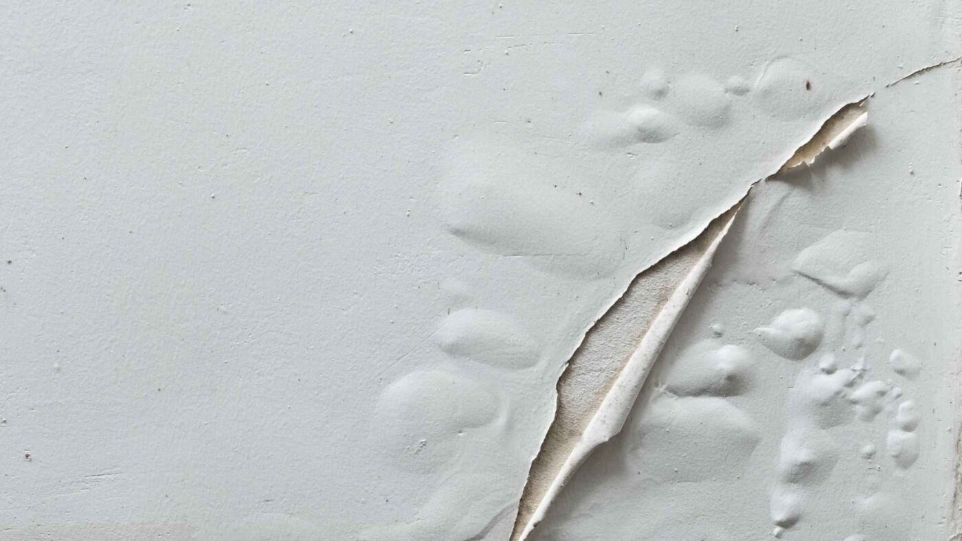 como quitar las manchas de humedad de las paredes